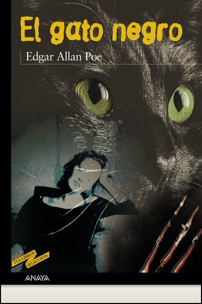 Portada de El gato negro